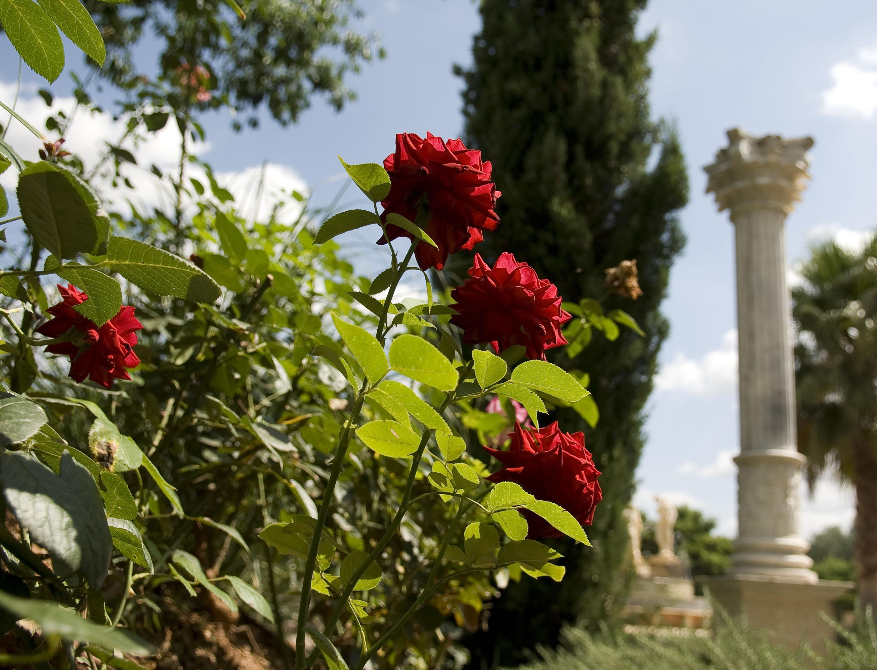 Vakantieboerderij Es Revellar Art - Adults Only Campos (Mallorca)