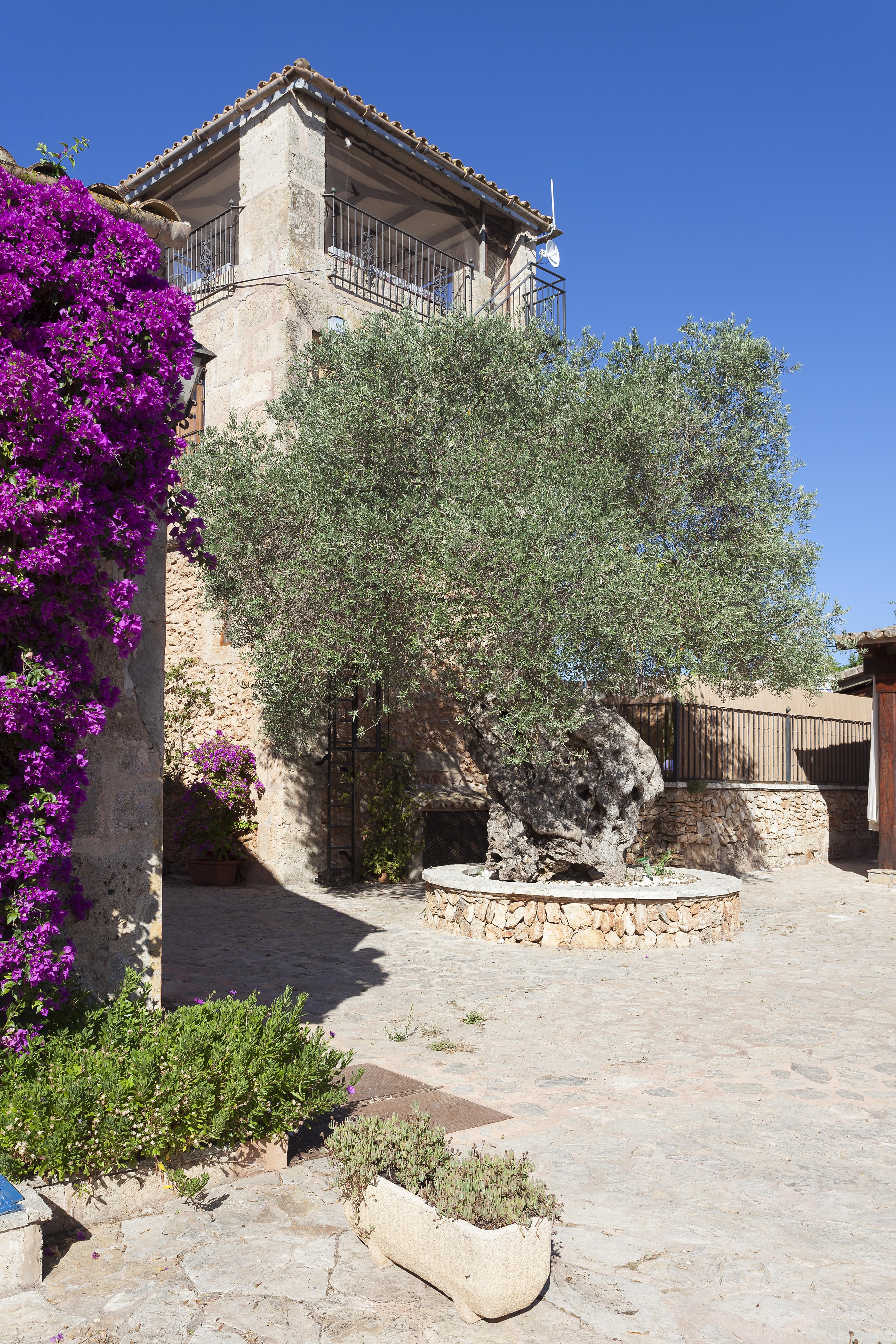 Vakantieboerderij Es Revellar Art - Adults Only
